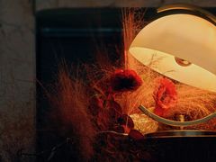 -ZHAO赵·牛扒坊(万象城店)