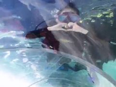 -绍兴梦享海洋公园