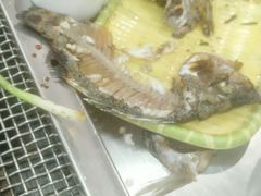 -石屏老字号4号包浆豆腐美食城(泼水广场店)