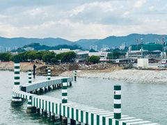 -澳门环岛游湾仔码头