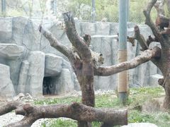 -青藏高原野生动物园