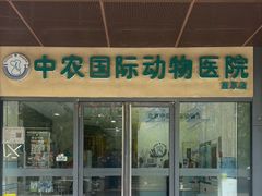 -中农国际动物医院24小时·猫科·骨科·急重症中心