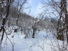-雪谷