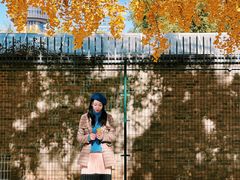 -三里屯东五街银杏大道