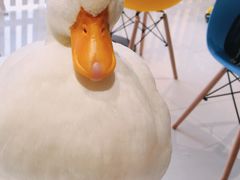 柯尔鸭-RU DUCK柯尔鸭公社·撸鸭俱乐部·羊驼·小香猪