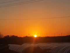 -亚马逊海鲜自助(梅溪湖步步高店)