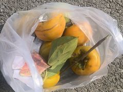 -吉姆冒险世界(蓟州店)