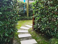 -东平国家森林公园
