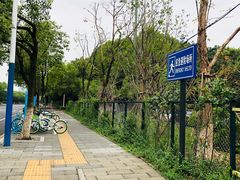 -青枫公园