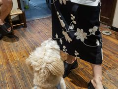 -初甜·舒芙蕾·韩式雪花冰(流塘店)