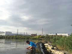 -永定河休闲森林公园