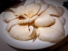 鲜平菇-丙申臺火锅