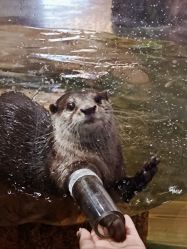 -Zoolung Zoolung动物主题公园(海信广场店)