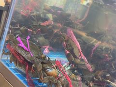 -徐记小怪兽肉蟹煲(中央大街店)
