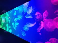 -成都浩海立方海洋公园