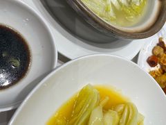 -丁老爷子苏香圆
