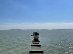 -贡湖湾湿地公园
