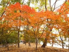 -共青国家森林公园-售票处