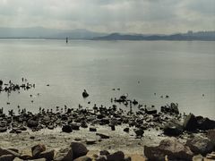 -深圳湾公园(南山区)