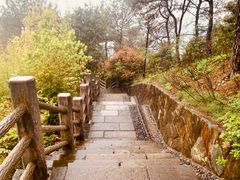 -千岛湖天屿景区