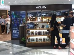 -乐天免税店(明洞店)