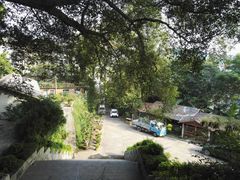 -中山纪念堂