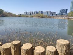 -大兴滨河森林公园