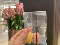 -PAUL LAFAYET 法式甜品(港汇广场店)