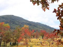 -塔川景区