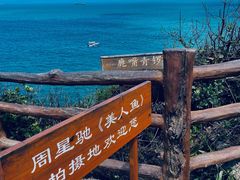 -杨梅坑