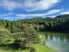 -武陵山森林公园