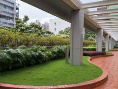 -香港大学
