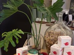 -春树下·树屋花房西餐厅(罍街AS1980店)