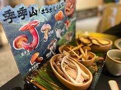 -季季山·云南野生菌火锅(上海首店)