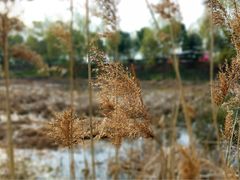 -南京金牛湖风景区
