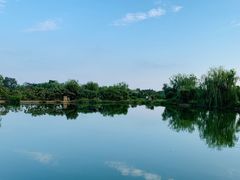 -长兴太湖图影湿地文化园