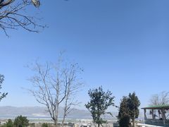 -云禾壹海景庄园餐厅