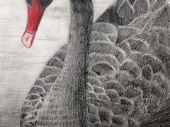 -甲乙果 美术书法(通州校区)