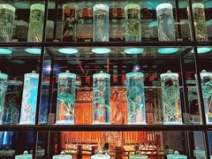 -广东中医药博物馆