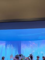 -超级奈尔宝SUPER NEOBIO(杭州星光店)