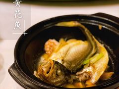 清蒸黄花鱼-悦景酒家(罗湖店)