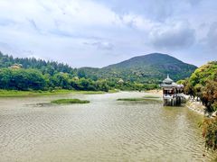 -九鲤湖风景区