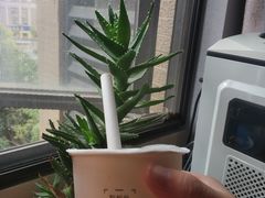 -沪上阿姨·精选茶饮(步步高新天地店)