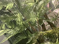 -芸山季·云南山珍菌火锅(南翔印象城MEGA店)