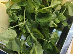 -金鼎雪山牦牛杂火锅(理县总店)