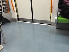 -杨高南路(地铁站)