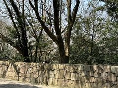 -普陀山风景区-佛顶山