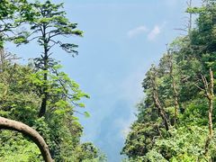 -峨眉山风景名胜区