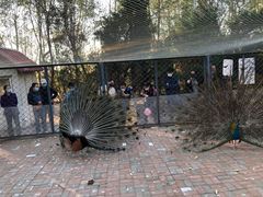 -长白岛森林公园