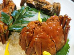 -蟹榭·莳鲜(虹桥高岛屋店)